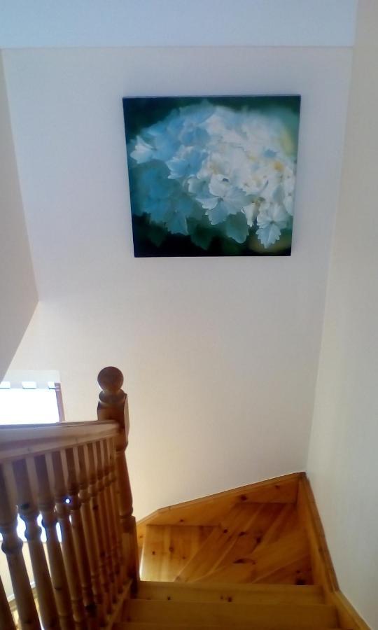 Larchlodge เอนนิส ภายนอก รูปภาพ